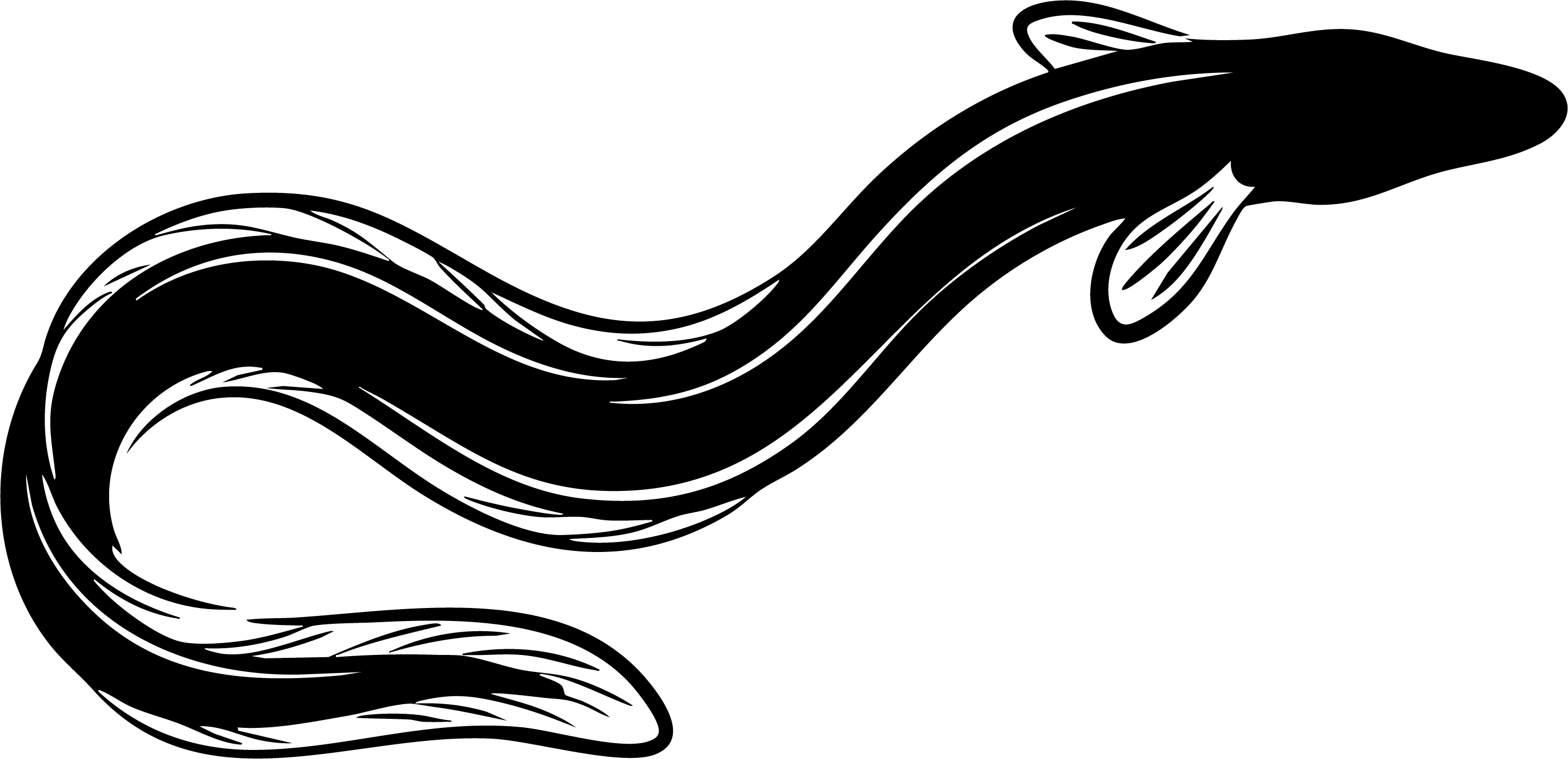 うなぎイラスト